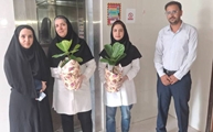 تقدیر از فیزیوتراپ‌های بیمارستان شهدای سلامت نی‌ریز به مناسبت روز ملی فیزیوتراپی